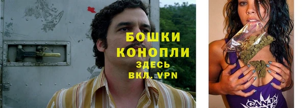 крисы Беломорск