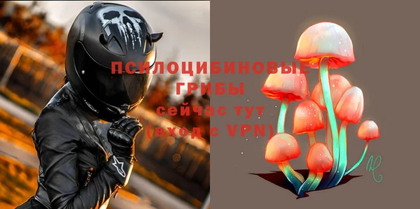 крисы Беломорск