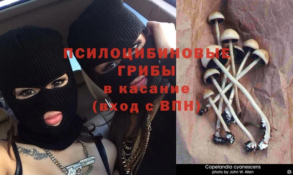 мдма Белокуриха