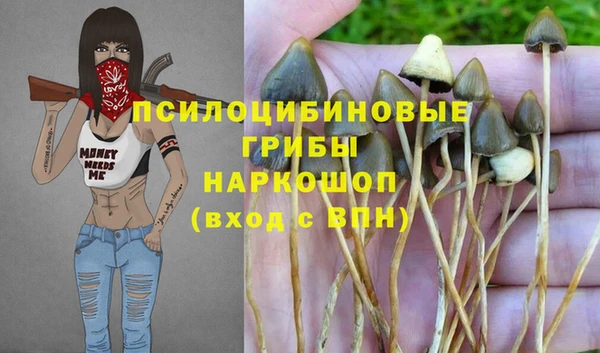 мдма Белокуриха
