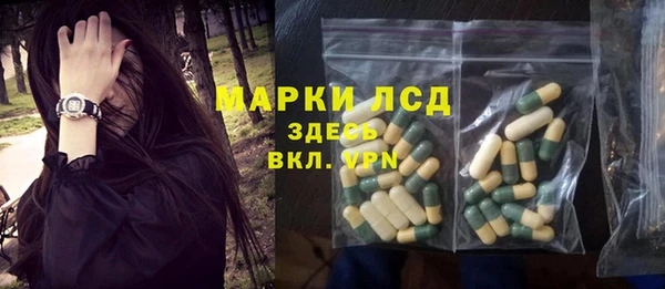 крисы Беломорск