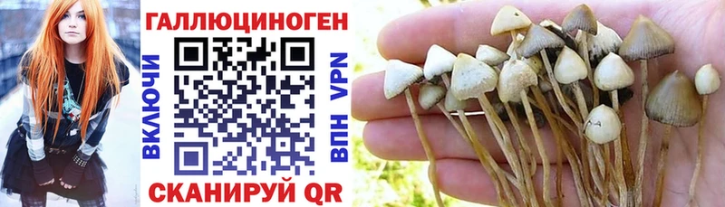 Галлюциногенные грибы Magic Shrooms  Славгород 