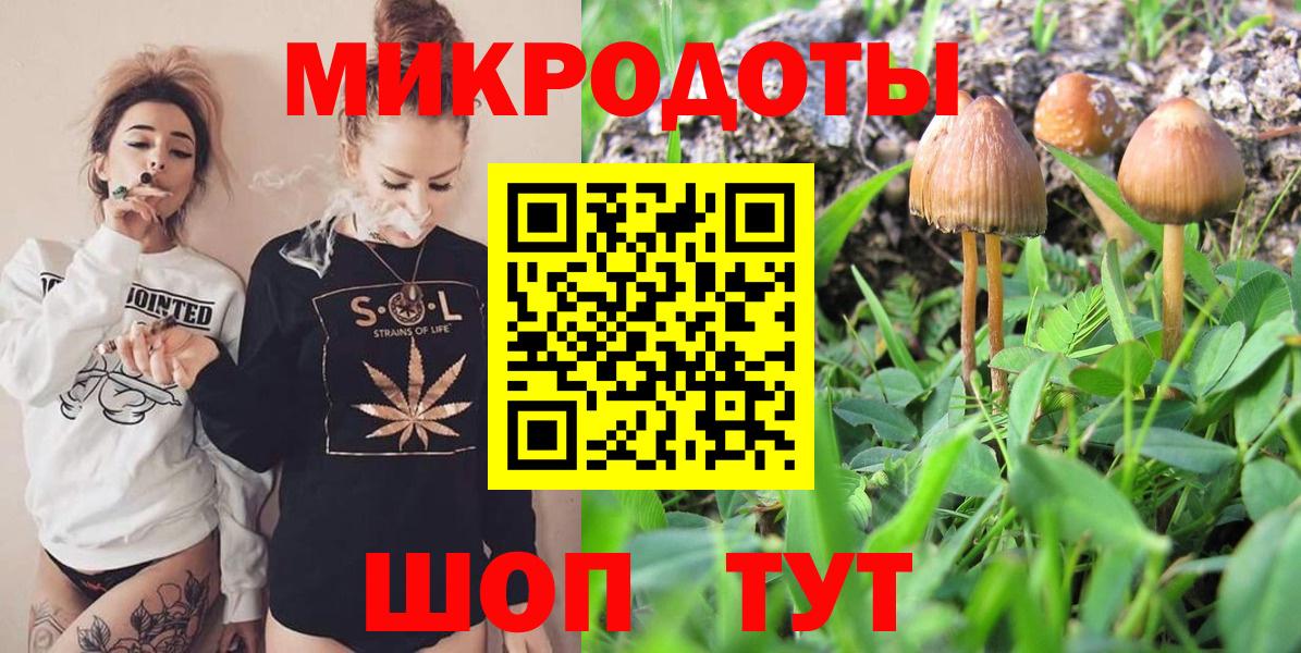 Славгород  Галлюциногенные грибы Cubensis  Вход с VPN 