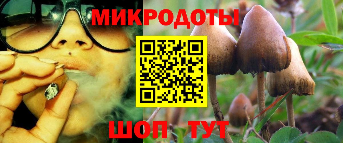 Галлюциногенные грибы мицелий Славгород