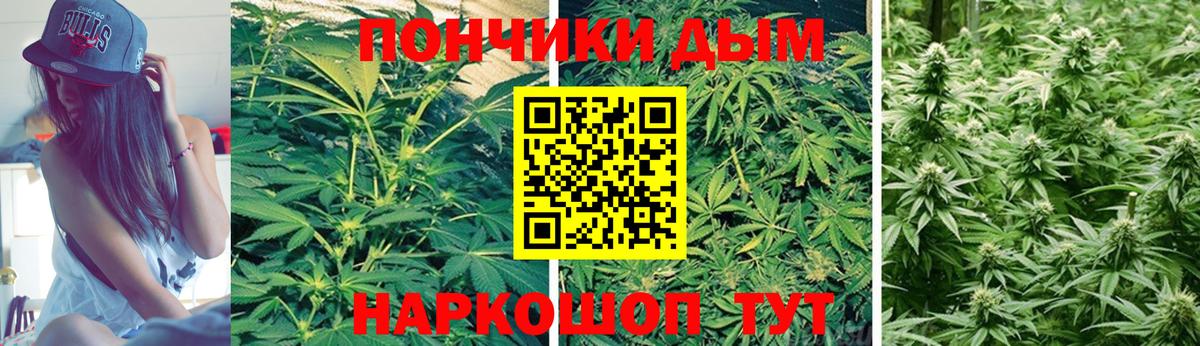 Славгород  Канабис тримм  Шишки марихуана сатива  Марихуана конопля  Вход с VPN 