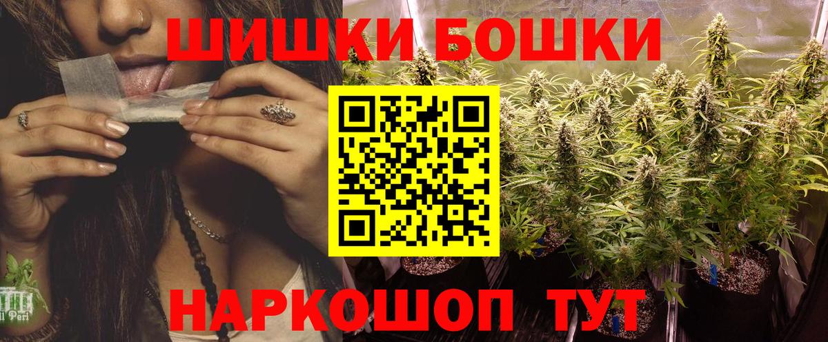 Бошки Шишки гибрид Славгород